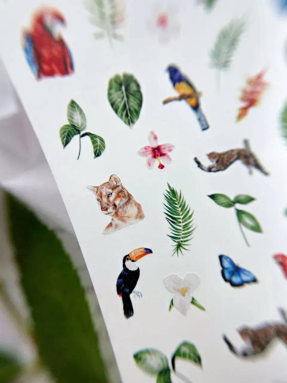 Nail slider decals on any background 080