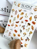 Nail slider decals on any background 239