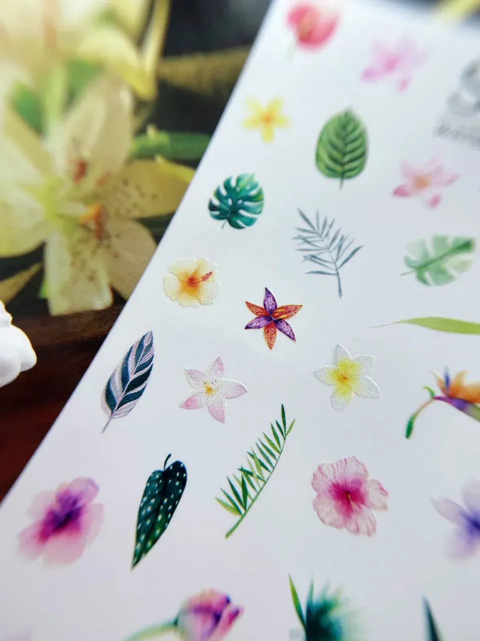 Nail slider decals on any background 079